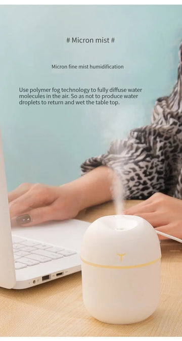 Air Humidifier Usb Small Mini Portable Cool Mist(random Color)